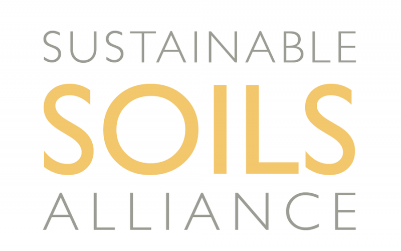 SSA Logo